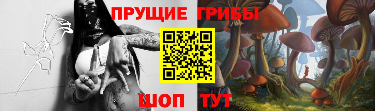 Галлюциногенные грибы Magic Shrooms  магазин продажи   Алексеевка  Вход с VPN 
